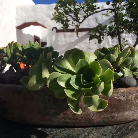 Casa Alegria *
