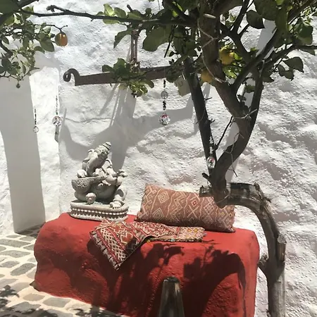 Casa Alegria Daire *