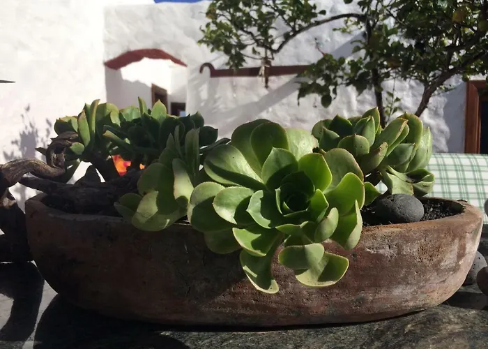 Casa Alegría *