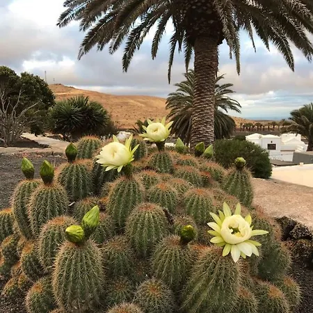 Casa Alegria Apartmán *